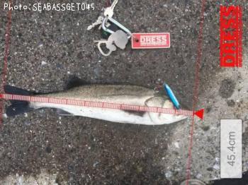 �����Х�