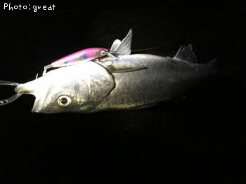 �����Х�