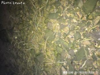 �����Х�