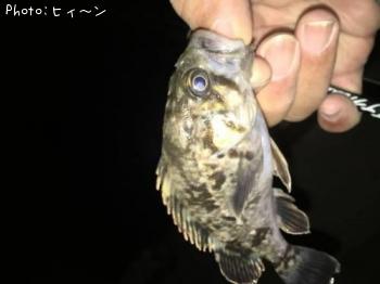 �������Υ���С���