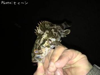 �������Υ���Х�