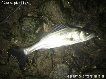 �����Х�