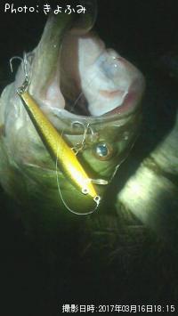 �֥�å��Х�