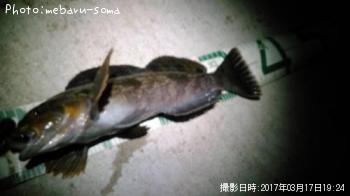 �����ʥ�