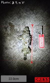 ¥ª¥Ë¥«¥µ¥´