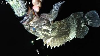 ��������Х�