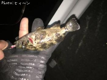 �������Υ���С���