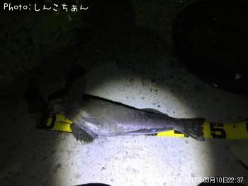 �����ʥ�