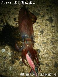 ���󥵥�����