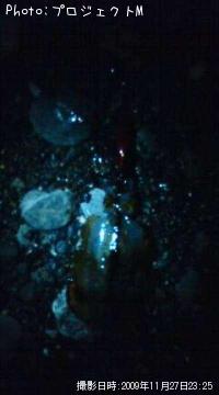 �����ꥤ��