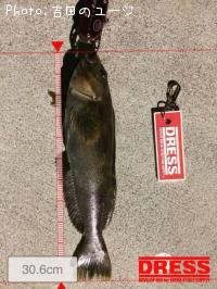 �����ʥ�