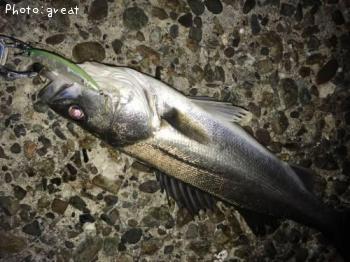 �����Х�