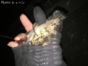 �����Υ���С���