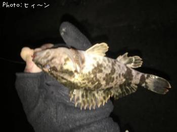 �����Υ���Х�