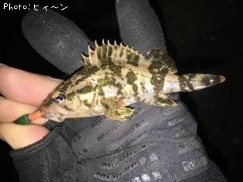 �����Υ���Х�