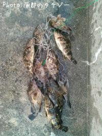 ¥¿¥±¥Î¥³¥á¥Ð¥ë¡¢¥«¥µ¥´¡¢¥¯¥í¥½¥¤