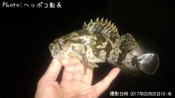 �����Υ���Х�