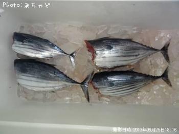 �����塼�ڥ��ĥ���