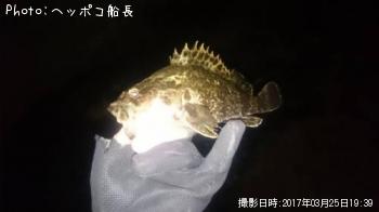 �����Υ���Х�