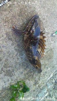 �٥å�������