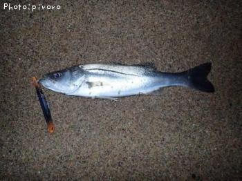 �����Х�