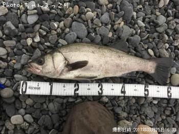 �ҥ饹����