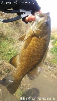 ���⡼��ޥ����Х�