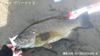 ���⡼��ޥ����Х�