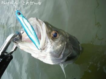 �����Х�