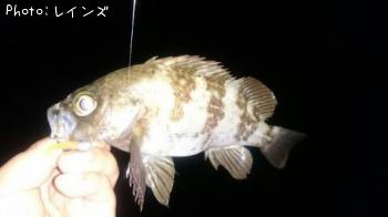 �����Υ�����Х�