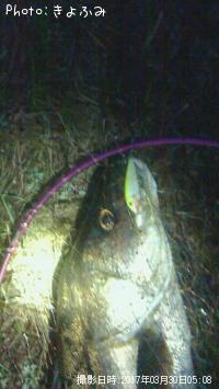 �����Х�