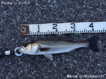 �����Х�