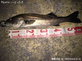 �����Х�