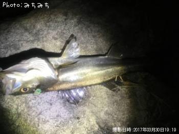 �����Х�