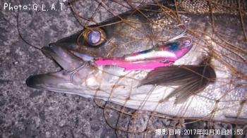 �����Х�