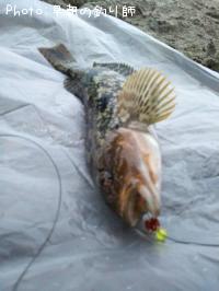 �����ʥ�