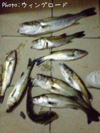 �����Х�