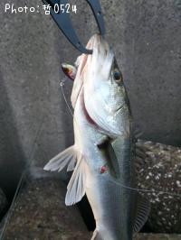 �����Х�