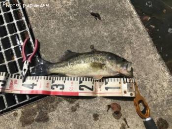 �֥�å��Х�