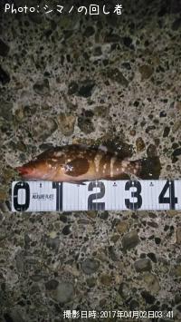 �����ϥ�