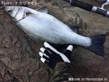 �ҥ饹����