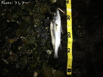 �����Х�