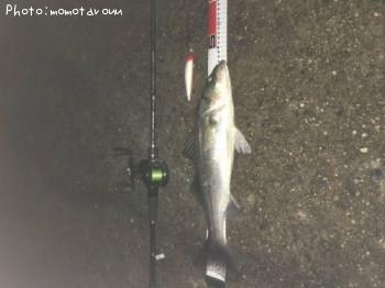 �����Х�