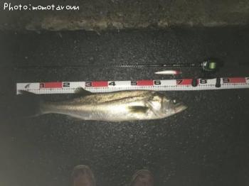 �����Х�