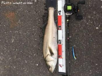 �����Х�