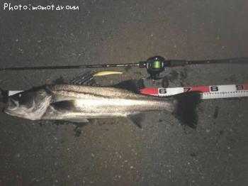 �����Х�