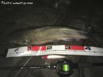 ����ꥫ�ʥޥ�