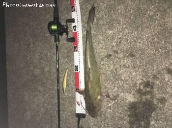 ����ꥫ�ʥޥ�