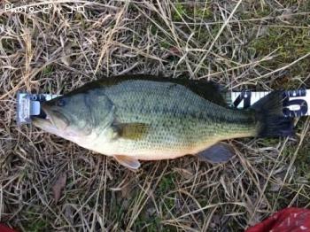 �֥�å��Х�