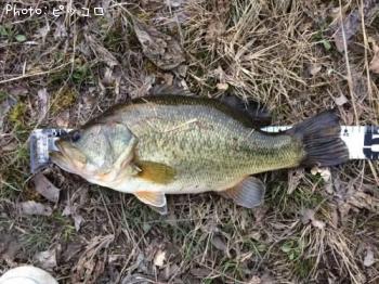 ¥Ö¥é¥Ã¥¯¥Ð¥¹